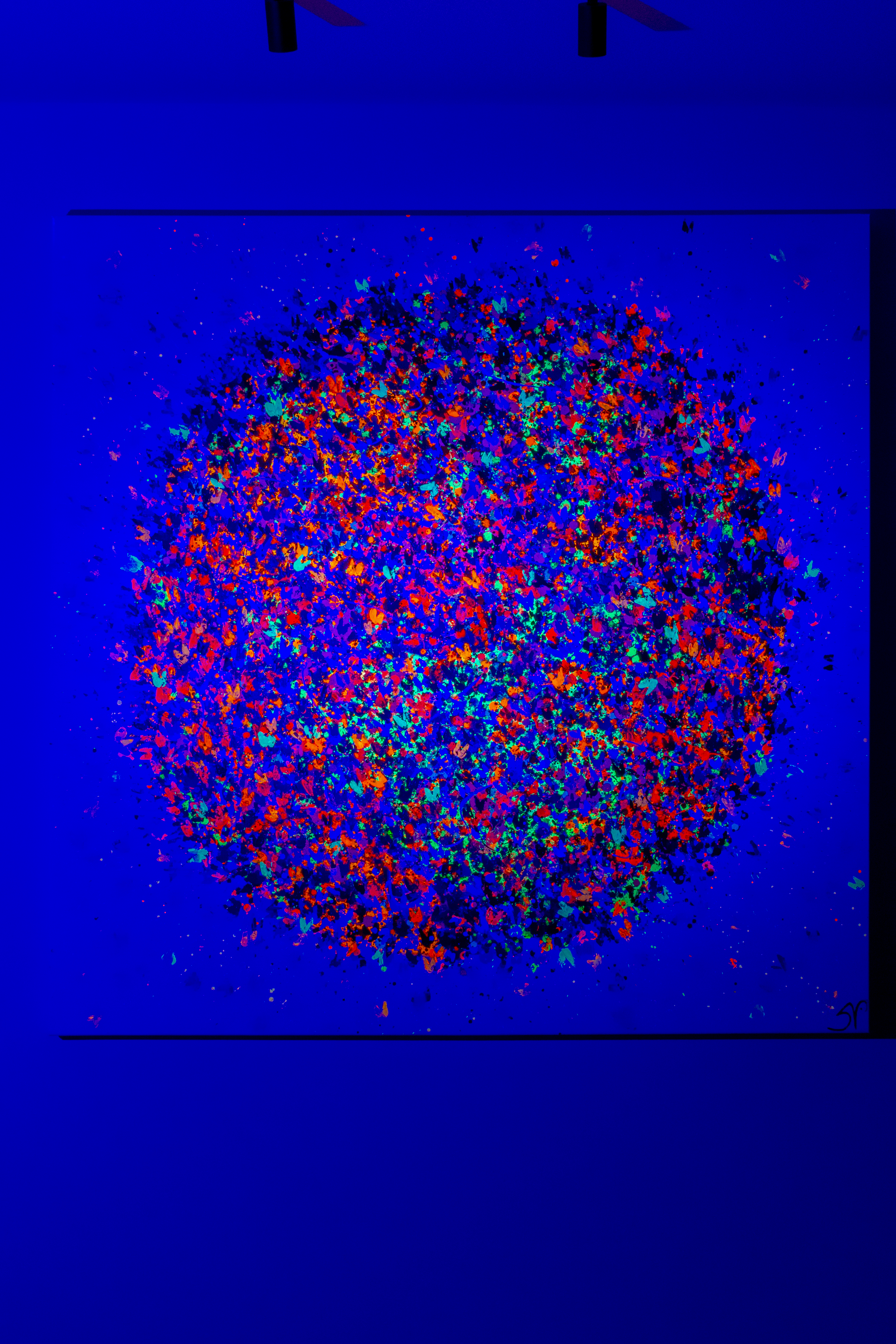 Image 2 - With blacklight